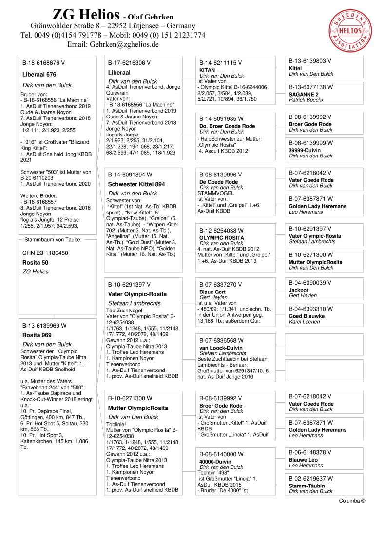 Brieftauben Auktion De K Fig Chn W Bruder La